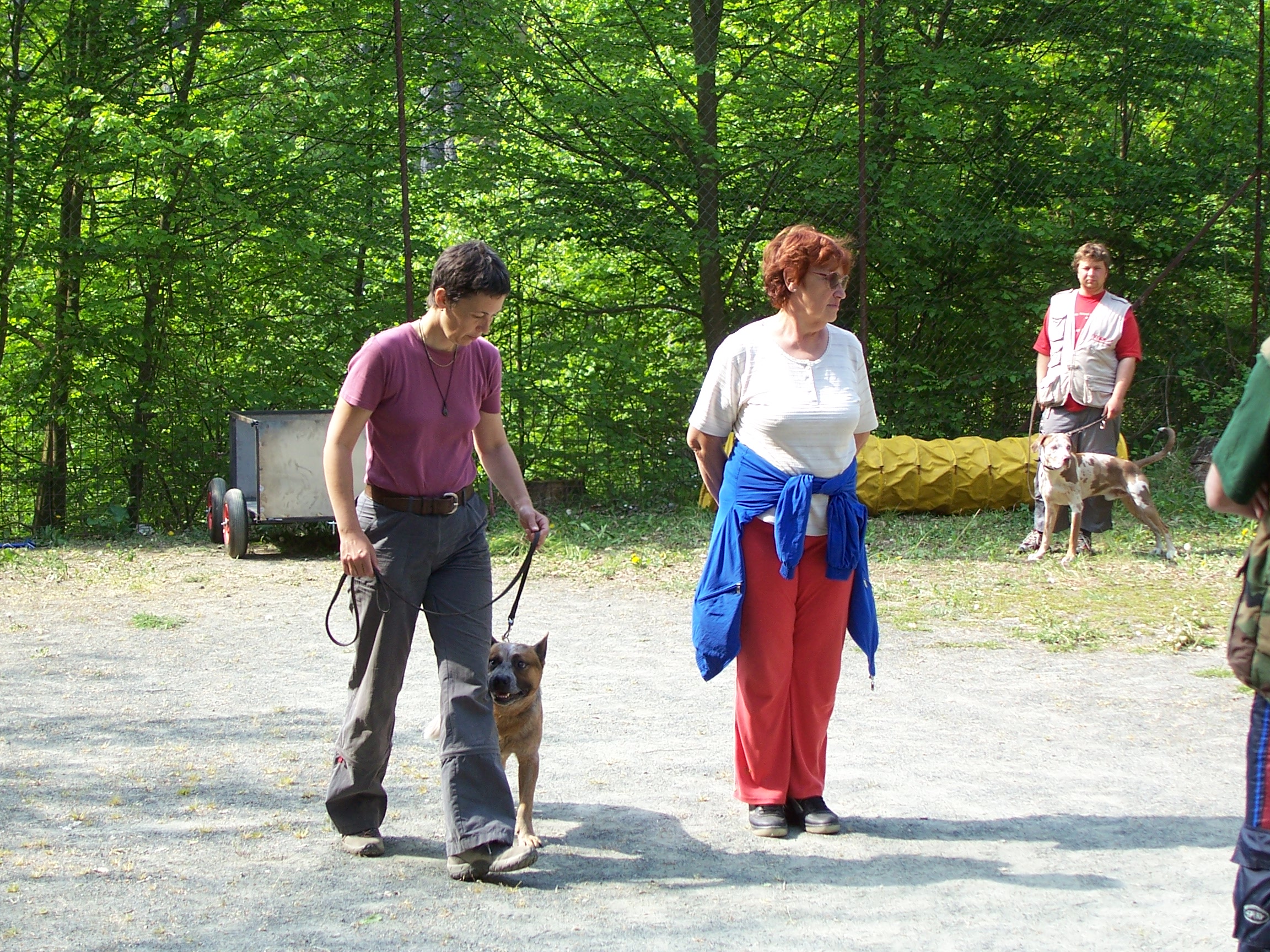 100_0969.jpg