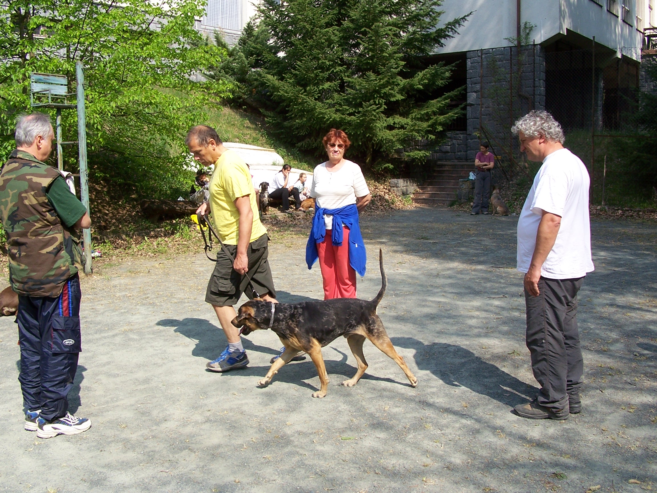 100_0994.jpg